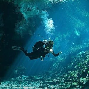 Meet your Posher, Rosemberg